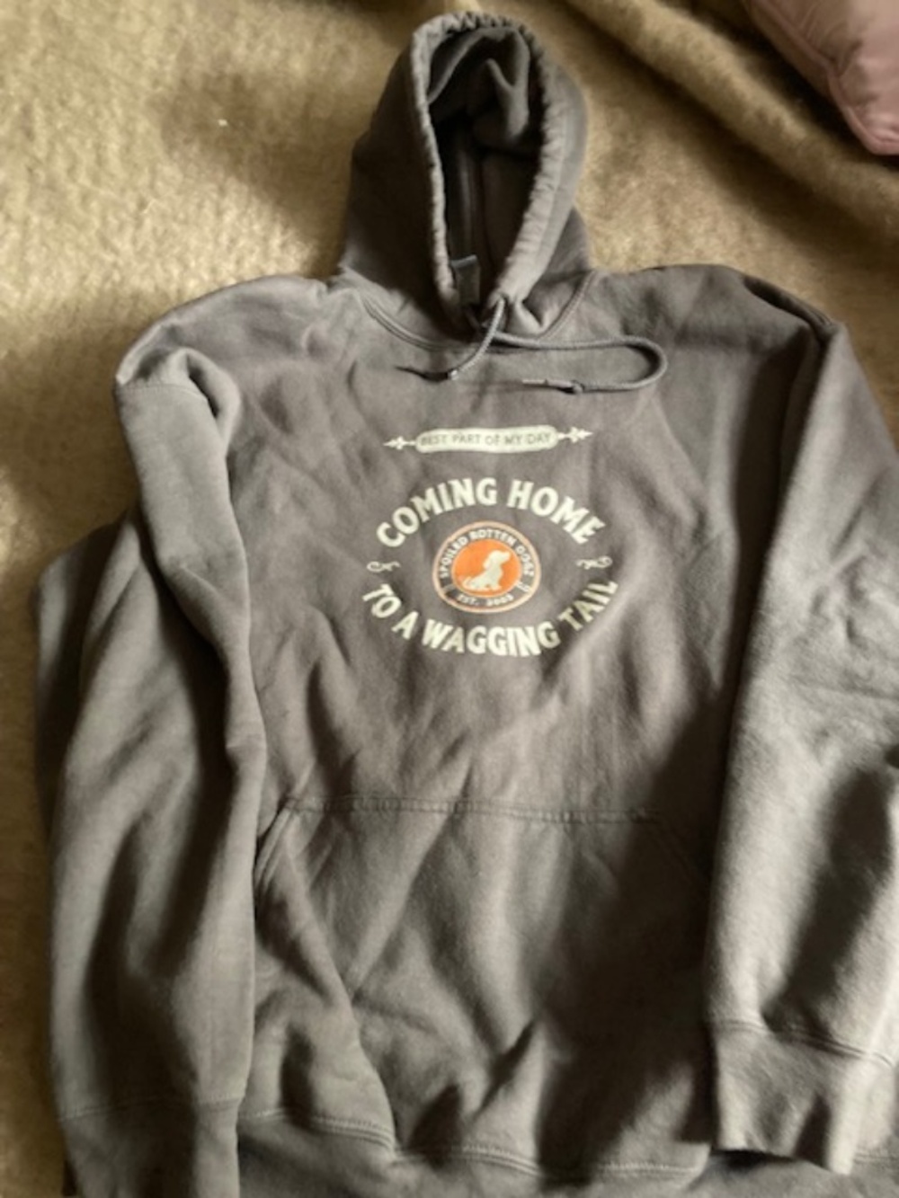 Cozy  Hooded Sweatshirt